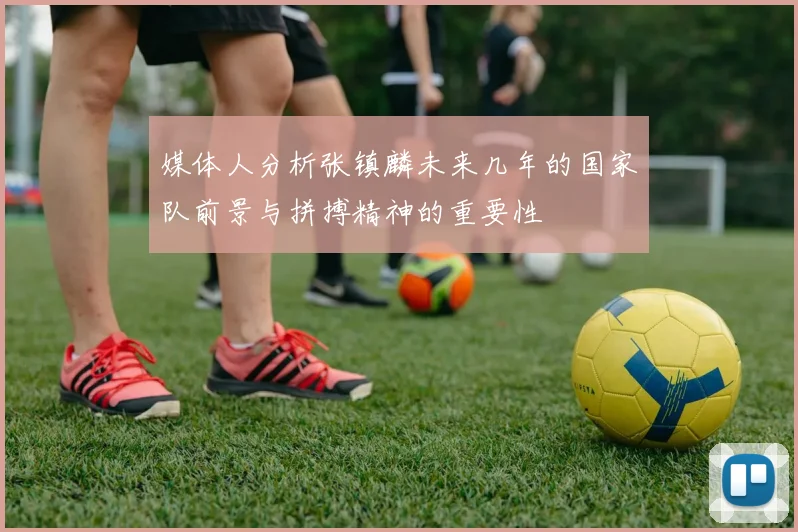 媒体人分析张镇麟未来几年的国家队前景与拼搏精神的重要性